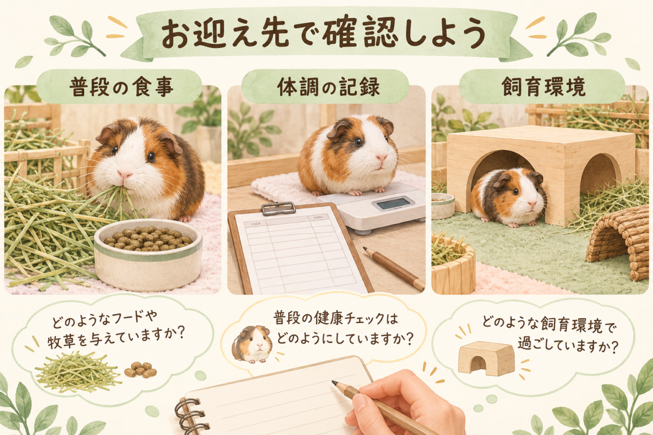 普段の食事、体調の記録、飼育環境についてお迎え先で確認するイラスト
