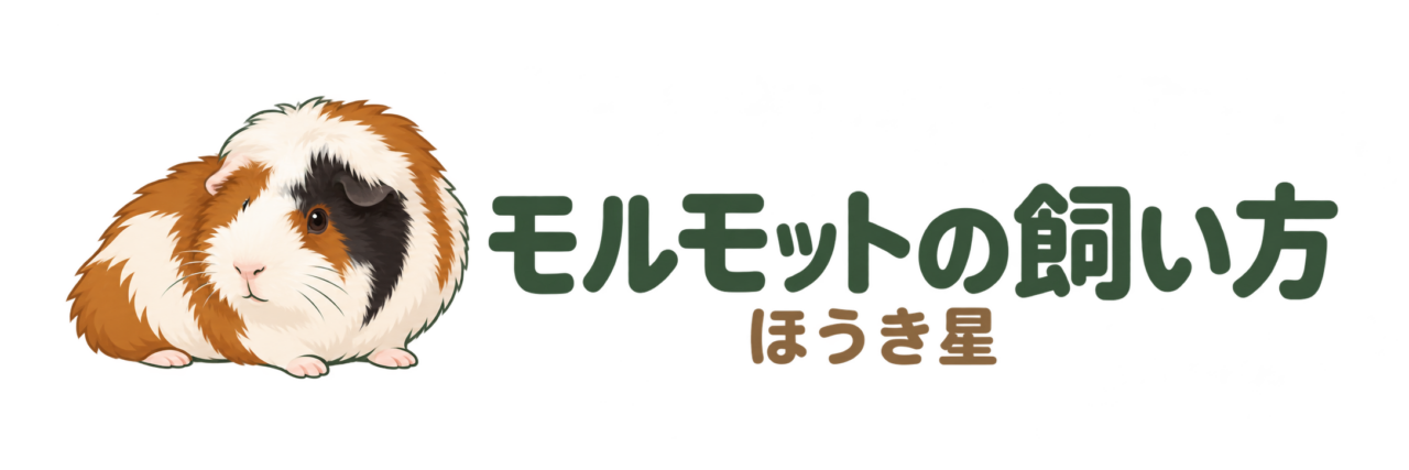 モルモットと過ごす毎日 - ほうき星